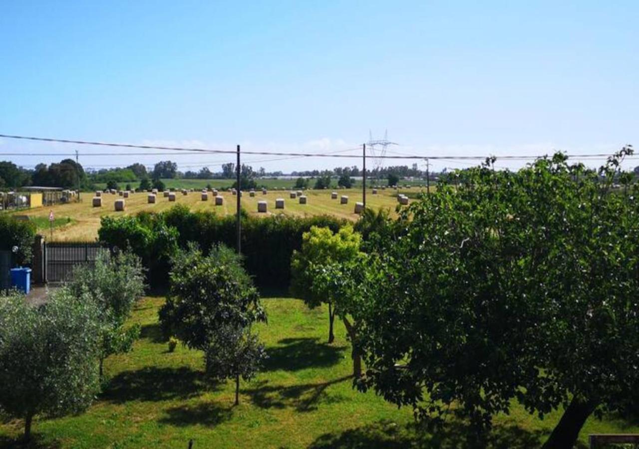 Eco House San Michele Hostel Borgo San Michele  Luaran gambar